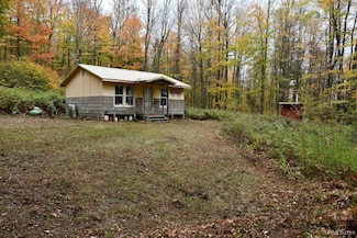 TBD County Line Rd, Hardwood, MI 49807