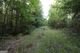 0 Kings Mill Rd Unit 4 10547512, Wrens, GA 30833