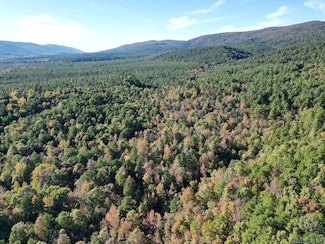 unk Polk Road 90, Mena, AR 71953