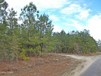 2429 Bridgecreek Rd, Marianna, FL 32448