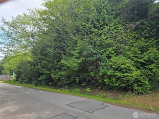0 xxx Paradise Ln, Pacific Beach, WA 98571