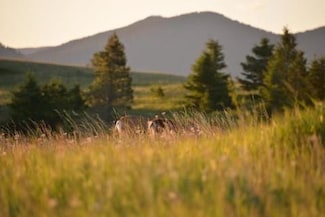 Tbd Logging Creek Rd, Monarch, MT 59463