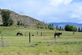 239 Twisp Carlton Rd, Twisp, WA 98856