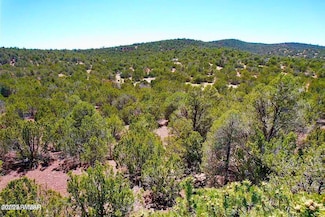 81 Acr 3199 --, Vernon, AZ 85940