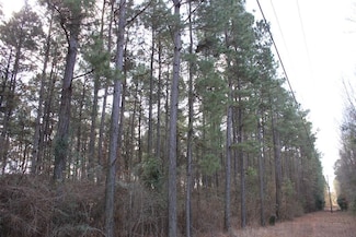 PID 7331 U S 59, Garrison, TX 75946