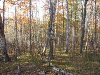 Lot 2 Presbyterian Rd, Townsend, WI 54175