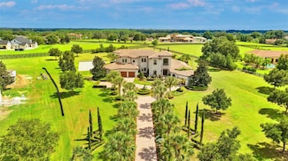 10603 Low Oak Terrace, Thonotosassa, FL 33592