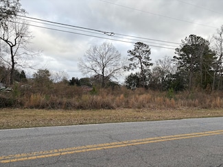 0 Old Back River Rd Unit 25004435, Goose Creek, SC 29445
