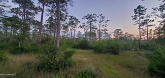 8317 Highway 57, van Cleave, MS 39565