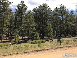 575 Ranch Rd, Ward, CO 80481