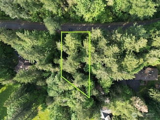 24829 SE Mirrormont Blvd, Mirrormont, WA 98027