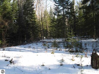 0 Ford Rd, Mikado, MI 48745