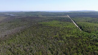 0 Cheeseman Rd Unit 40 ACRES 322567, St. Ignace, MI 49781