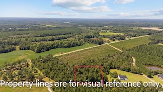 TBD Duford Rd, Nichols, SC 29581