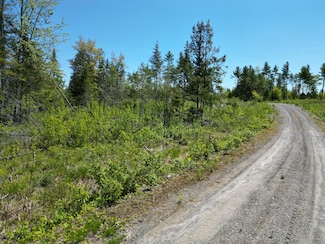 Lot 8 Riverbend Rd, Lowell, ME 04493