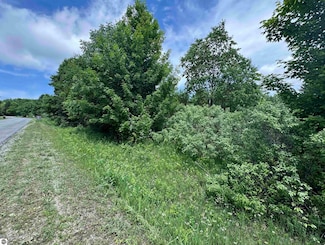 Lots 33 Ski View Cir, Centerville Township, MI 49621