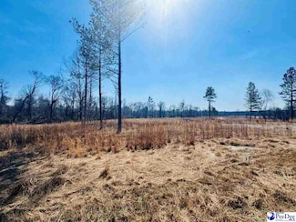 0000 Woodbine Rd (Lot 3), Cheraw, SC 29520
