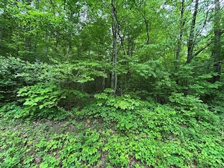n/a Hensley Rd, Jamestown, TN 38556