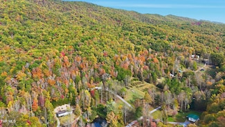 694 Heck Branch Rd, Rogersville, TN 37857