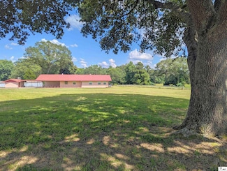 506 Foster Rd, Downsville, LA 71234