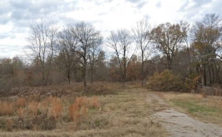 11897 U S 67, Harviell, MO 63945