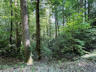 TBD Briggs Cove Rd, Stecoah, NC 28771
