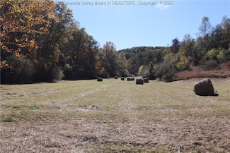 0 Hartley Run, Duncan, WV 25252