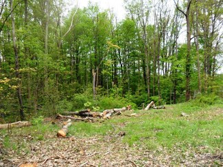 0 Rosalind Unit 3999488, Rootstown, OH 44272