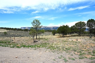 52 Canjillon Dr, Tierra Amarilla, NM 87575