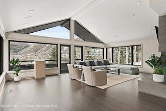 730 S Galena St, Aspen, CO 81611