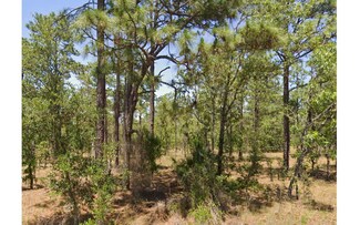 TBD NW Terrapin Dr, Dunnellon, FL 34431