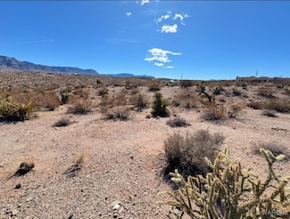 755 Andrus Ln, Meadview, AZ 86444