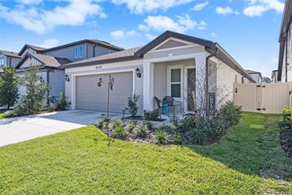 20778 Balsam Hill Rd, Land O' Lakes, FL 34638