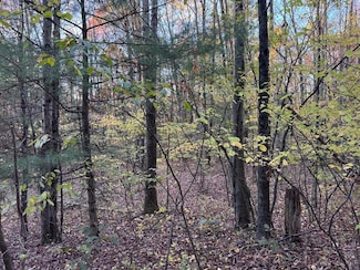 0 Oxbow Rd, Waverly, NY 14892