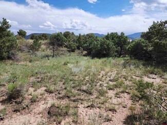 233 Berthoud Pass Rd, South Fork, CO 81154