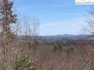 Lot 114 & 115 Derby Chase Ct, McGrady, NC 28649