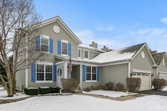 93 Leadville Ln, Gilberts, IL 60136