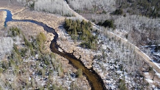37 Acres Porky Ln, Langlade, WI 54491
