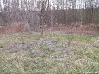 00 Cooper, Conquest, NY 13140