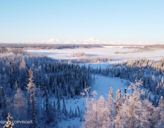 49365 S Noahs Cir, Willow, AK 99688