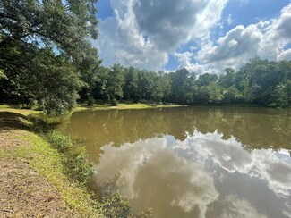 4014 Us Hwy 84 (16 09 Acres), Cairo, GA 39828