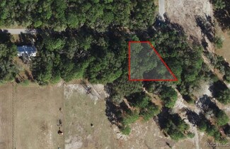 9542 W Sandra St, Crystal River, FL 34428