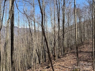 140 Boar Ridge Rd Unit 140, Sylva, NC 28779