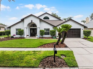 9246 Dayflower Dr, Tampa, FL 33647