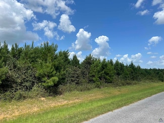 Lot 1 Whitfield Rd, Elko, GA 31025