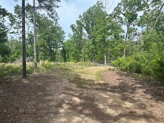 000, Ellington, MO 63638