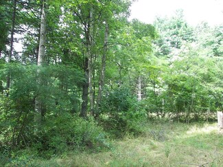 2086 Brush Creek Falls Rd, Princeton, WV 24739
