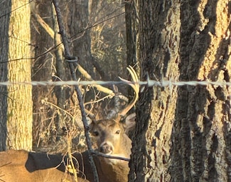 000 E 1320 Rd, Benton Township, MO 64744