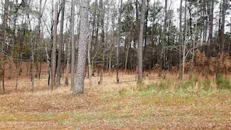 2211 Osprey Poynte, Greensboro, GA 30642