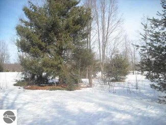 00 Landis Rd Unit B, Thompsonville, MI 49683